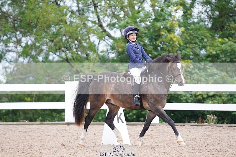 240809A-095744-00373 - Dressage Competition