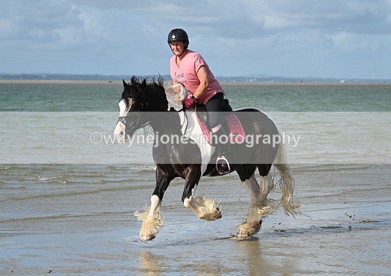 WJ7_4278 - Kellie & Churchill ... do Hayling Island 25-08-24