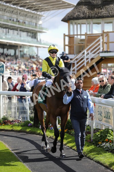yr12052022r3-1 - Race 3 3.00pm The Paddy Power Hambleton Stakes