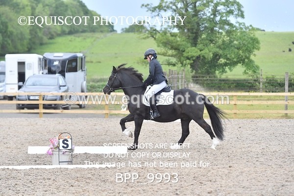 BPP_9993 - SHORT ARENA  MY QUEST PRELIM
