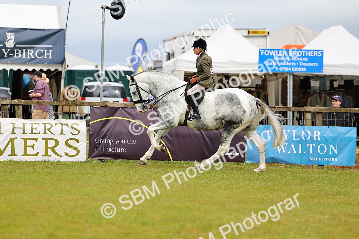 SBM_02529 - Class 9-11 Side Saddle including LIHS Rising Star Ladies Show Horse