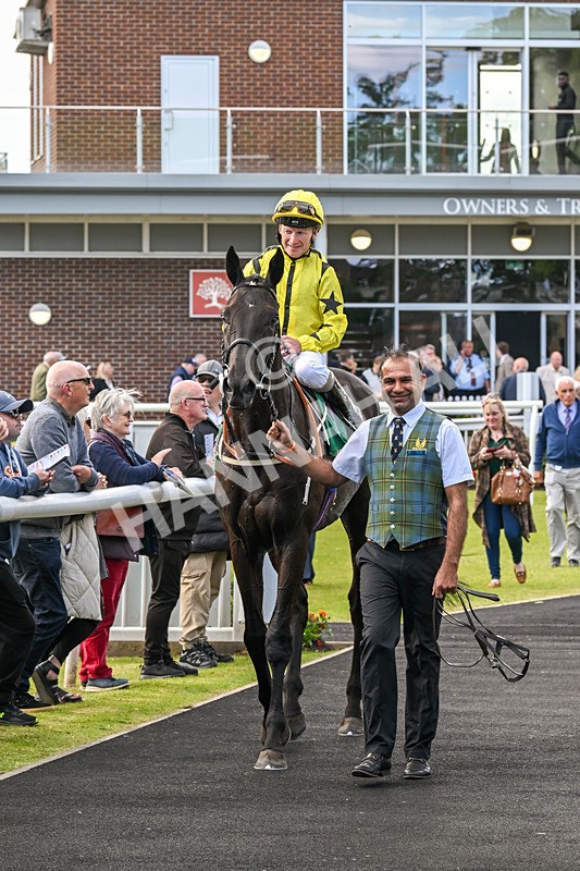 160624-Race 4-Align The Stars-8864 - Race 4