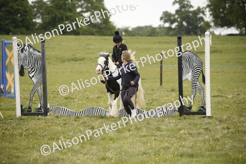 20250517-0228 - Class 1 - 30cm On Lead Rein