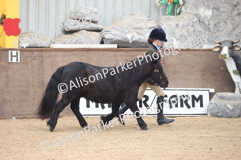 20251109-0157 - Class 8 - Young Handlers