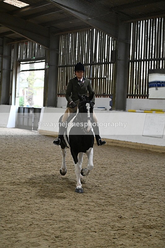 WJ7_4048 - Class 17 Ridden Cob