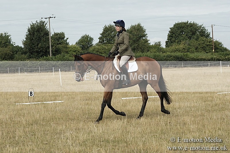 _PJP5634 - Dressage Classes BVRC Show 2018
