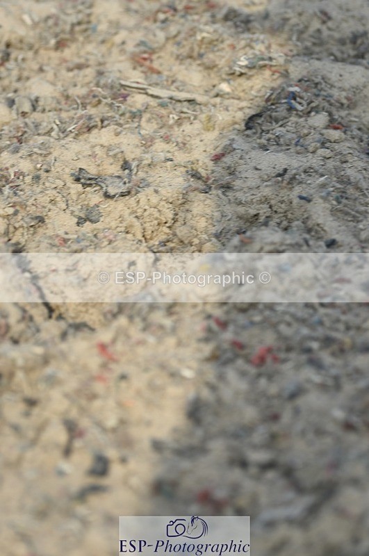 230817-094546-01672 - Kay's 1st Group - Arena