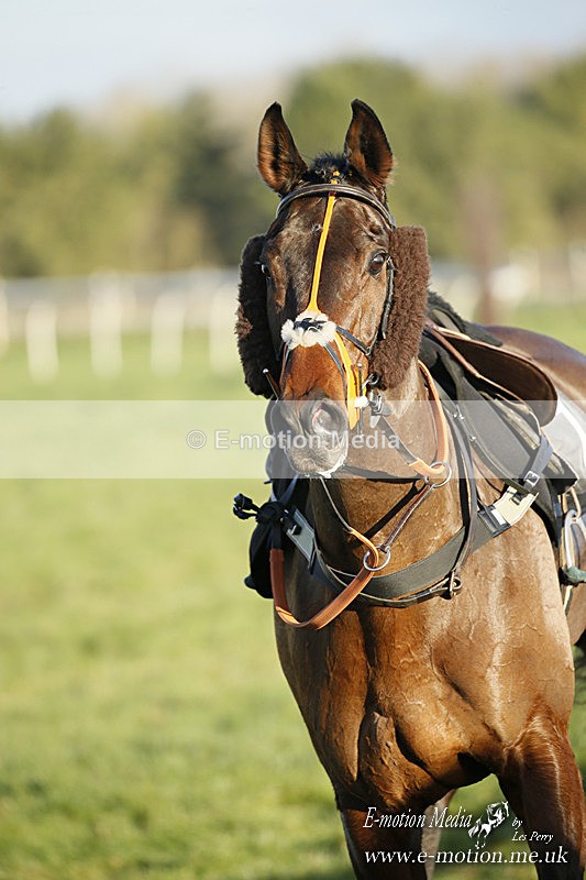 PtP 121220 642 - Avon Vale Races Larkhill 12/12/20