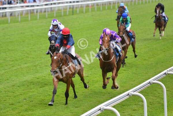 yr12062021r1-17 - Race 1 2.00pm Queen Mother's Cup