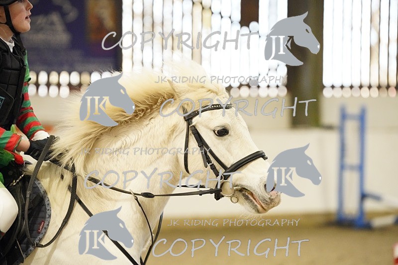 _DSC3265 - 50cm/60cm Pairs