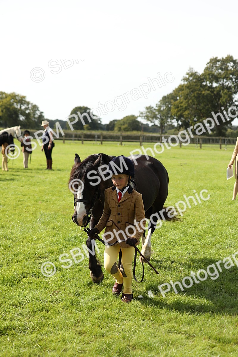 SBM_67818 - S39 - Junior Handler 8  Years & Under