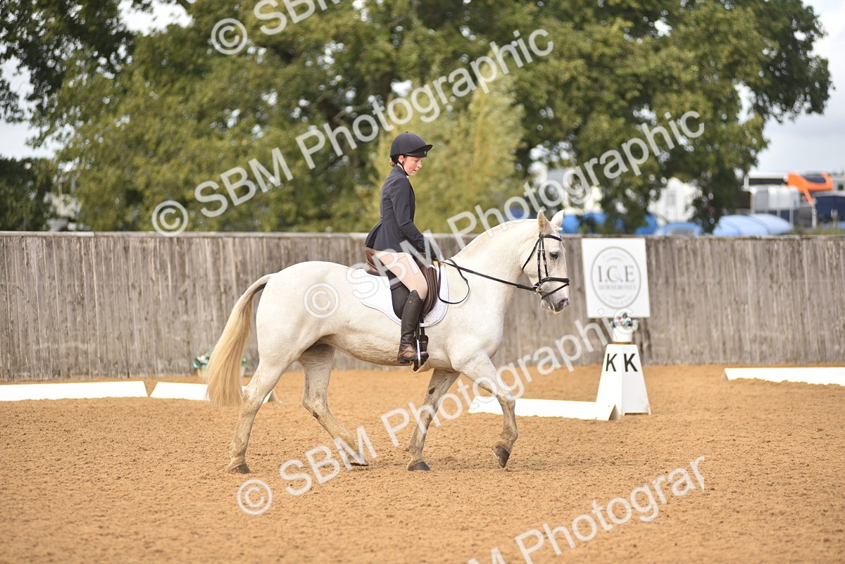 SBM_42319 - D22 - Junior Championship Intro 3