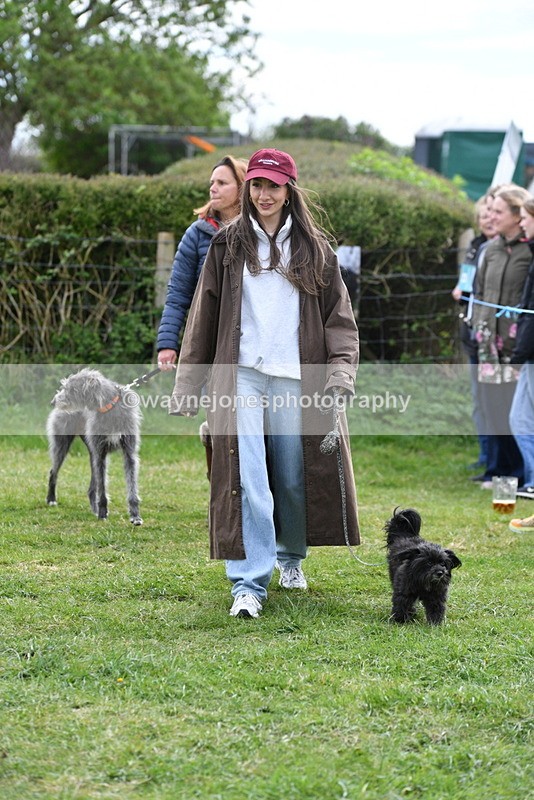 WJ5_9294 - Class 1 Best Cross Breed / Heniz 57