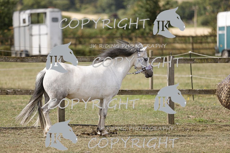 _R6A0798 - GENERAL PHOTOS