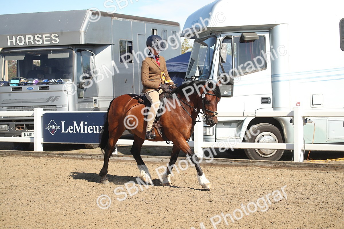 SBM_12801 - Class 504b - Junior Working Veteran - 40cm (20+)