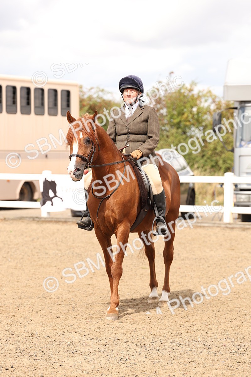 SBM_05233 - Class 56b -  Style & Performance - 50cm (20+)