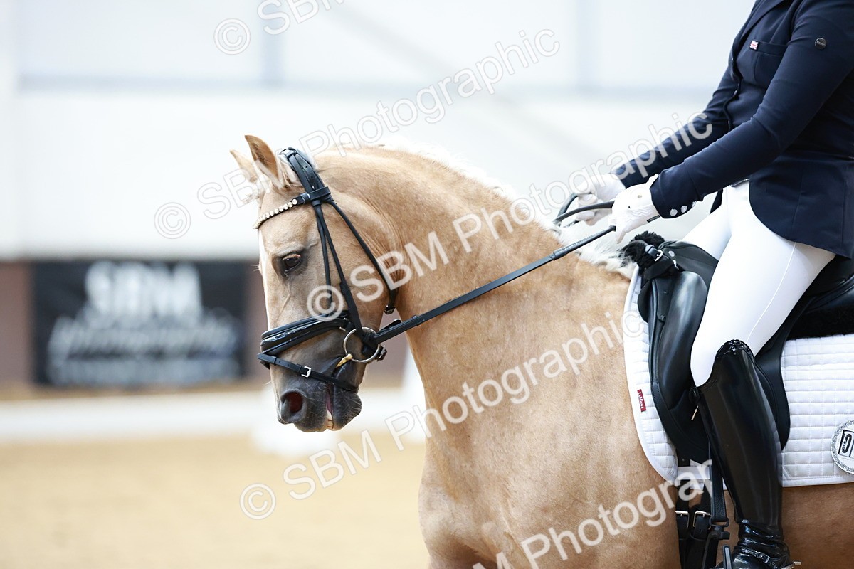 SBM_017302 - Class15 - FEI Pony