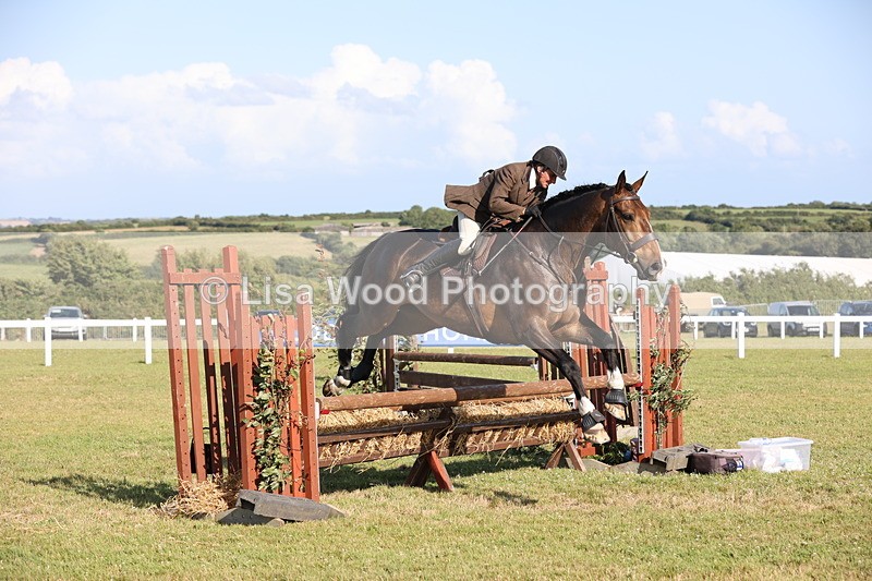 JPP_3095 - Class 21: Working Hunter 80cm