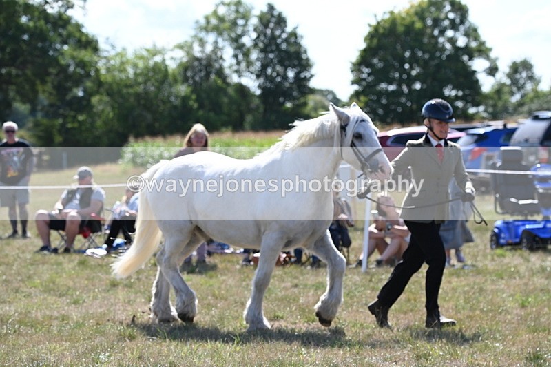 WJ6_4905 - Class 17 Mountain & Moorland