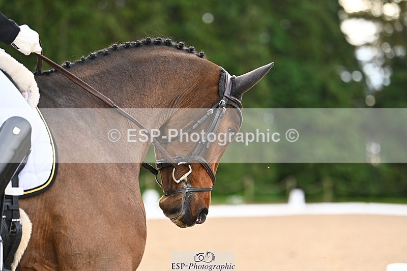 231021-093202-12555 - 225-DHI.ROCKETMAN-Emily.King-DR