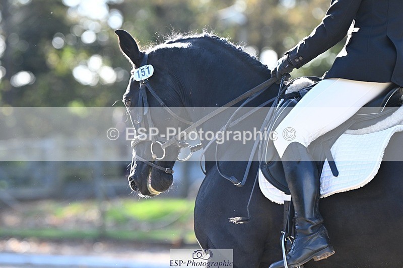 231110-124714-00795 - Cls 3 Novice 22