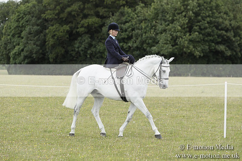 BVR160717-2349 - Side Saddle Classes 16/07/17