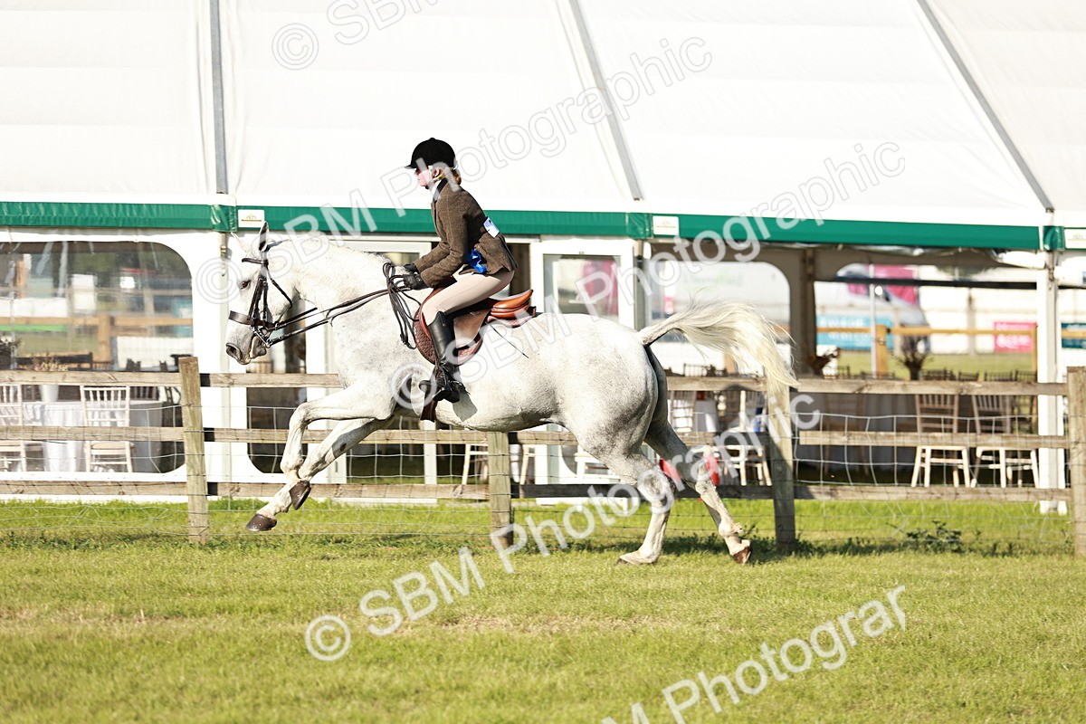 SBM_20118 - Class 115-116 - LIHS BSHA Rising Star Working Hunter & Show Horse