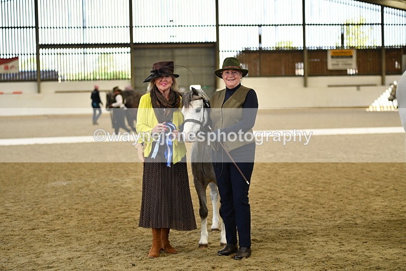 WJ5_4106 - Class 2 Best Condition In hand