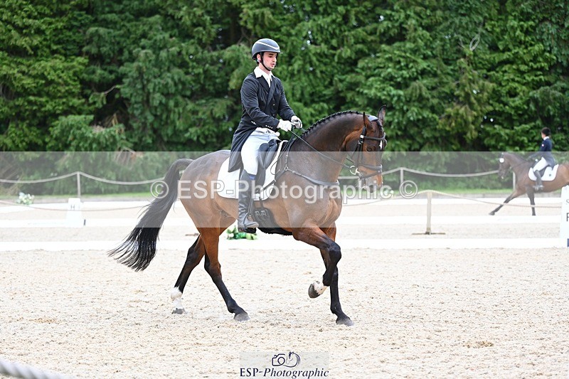 240524-180044-11545 - 162-HAZZLE_DAZZLE-Henry_Hobby