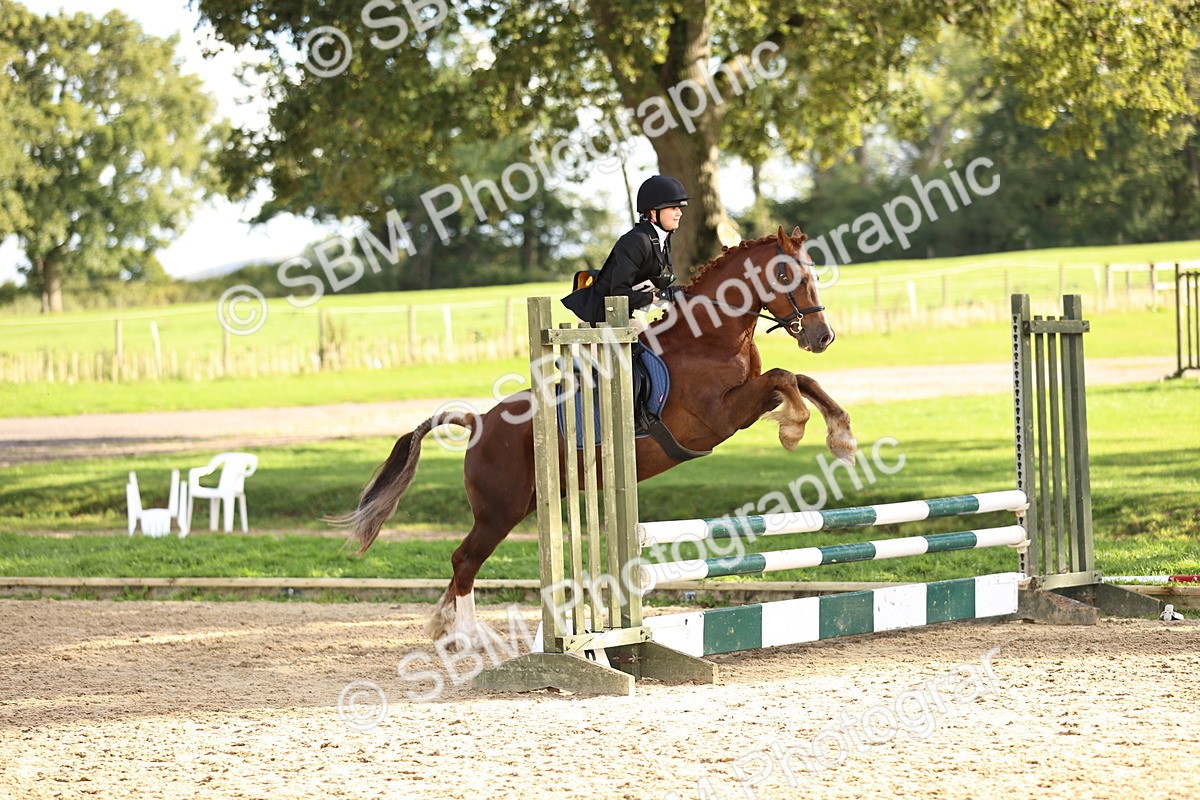 SBM_51452 - J10 - Junior Pony 75cm Championship
