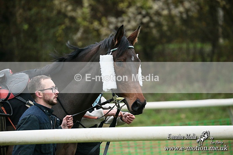 PtP 091124  237 - Knightwick Races Point-to-Point 09/11/24