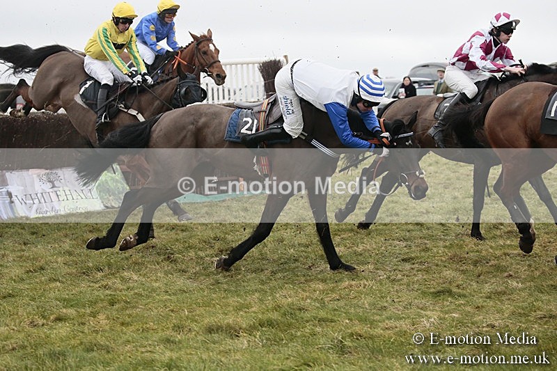 PtP 180218 205 - Combined Services Point-to-Point Larkhill 18/02/18