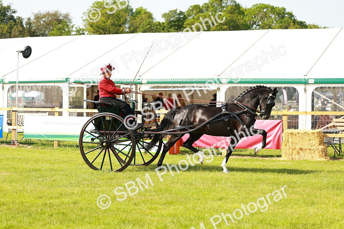 SBM_01183 - Class 2-4 - HOYS Private Driving