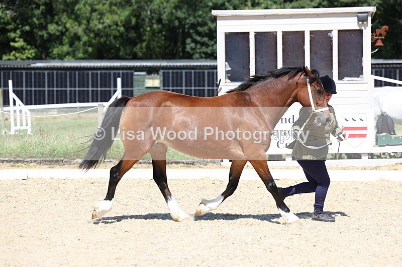 3E7A9544 - Class 32: Best Grass Kept