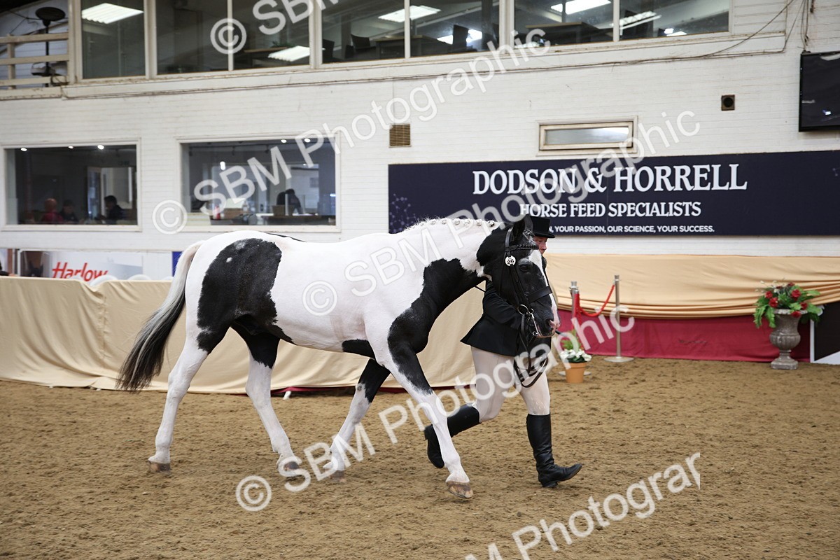 SBM_23410 - Class 904 - Supreme Final Ridden Diamond