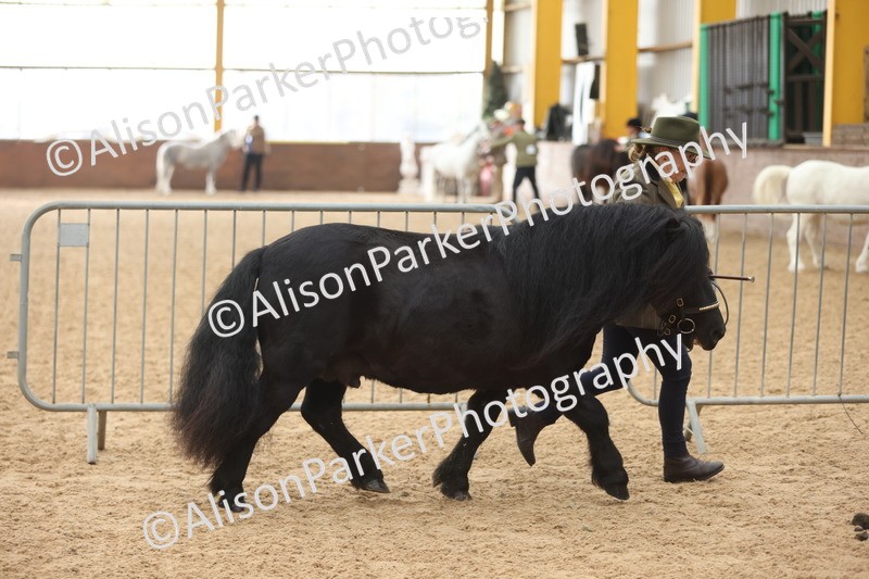 20251109-0128 - Championship