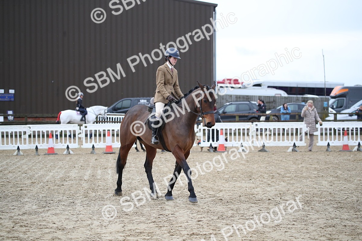 SBM_004765 - Class 5-9 - NPS In Hand-Show Hunter-Intermediate Ridden Inc Ridden Championship