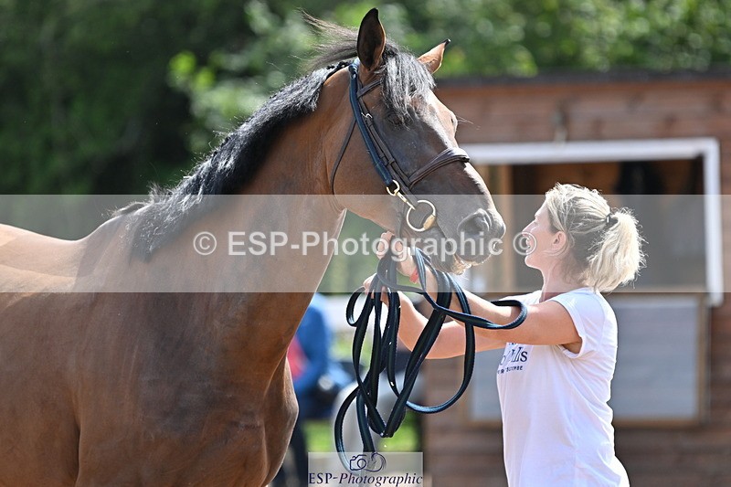 240717A-154251-03005 - Trot Up 3pm to 4pm