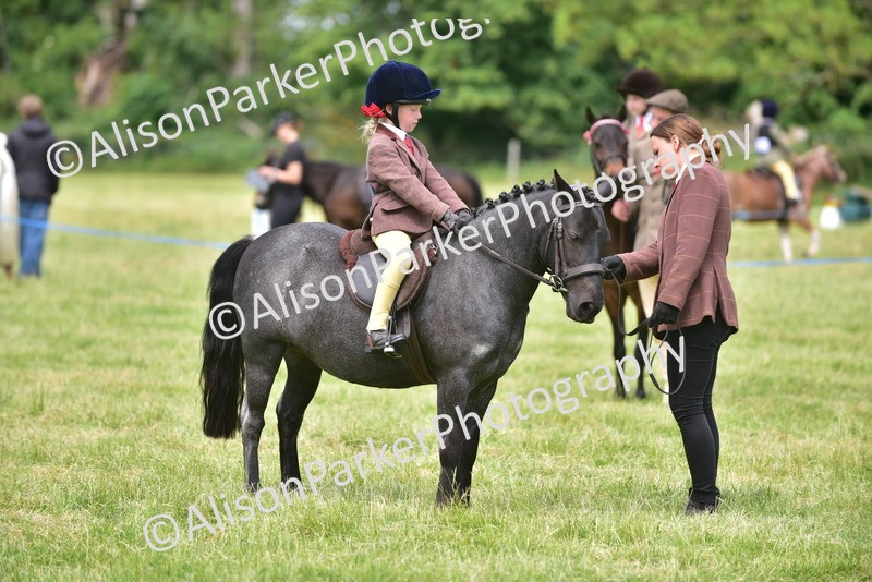 20260614-1384 - Class 11b - Lead Rein Pony (Plaited)