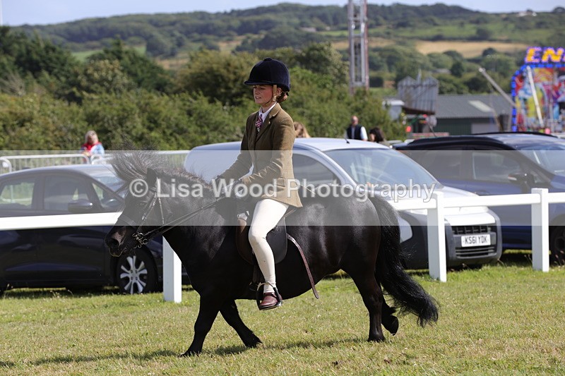 1X9A5602 - Class 39: NPS Dartmoor, Exmoor, Shetland