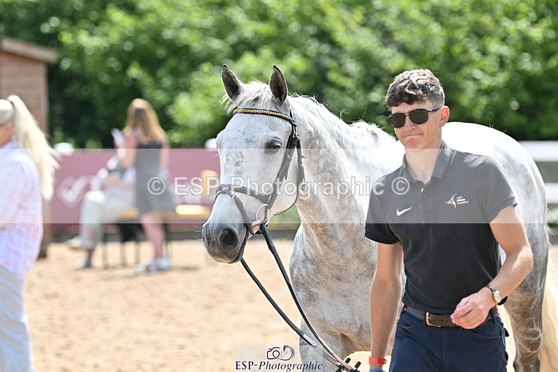 240717A-151531-02690 - Trot Up 3pm to 4pm