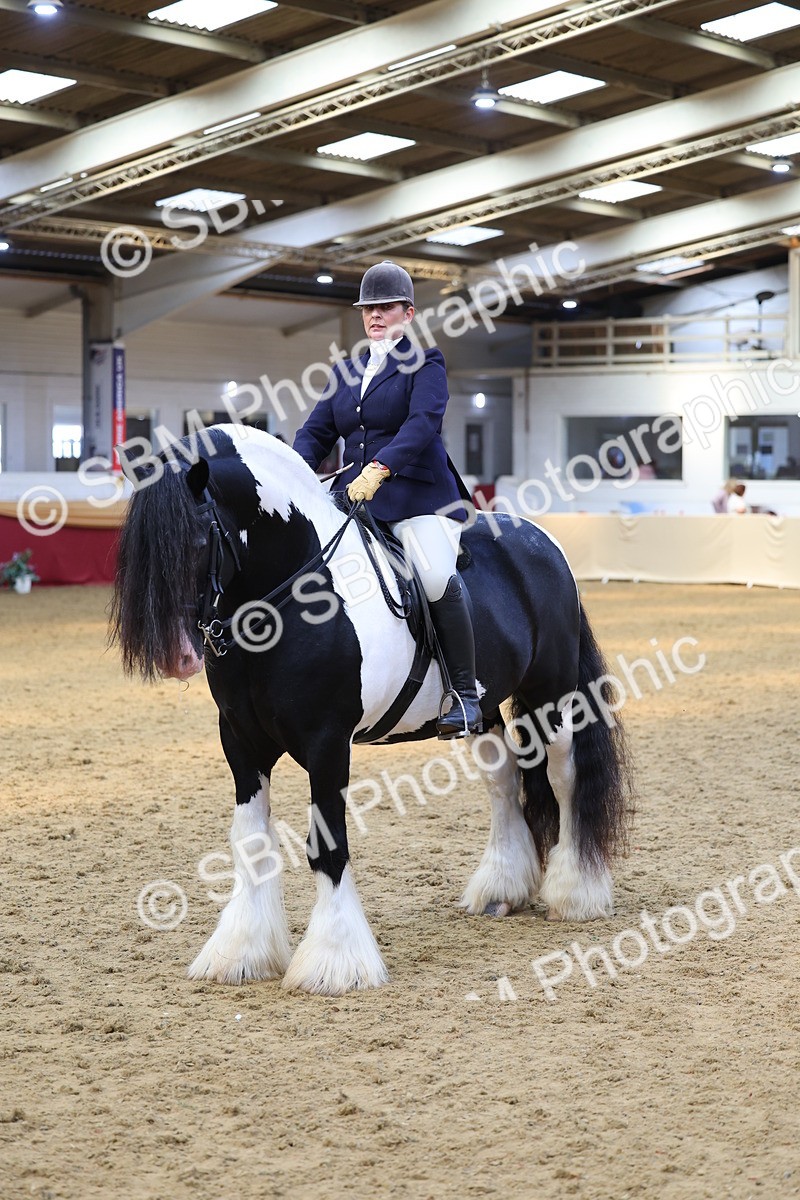 SBM_24126 - Class 905 - Supreme Final - Ridden Veteran