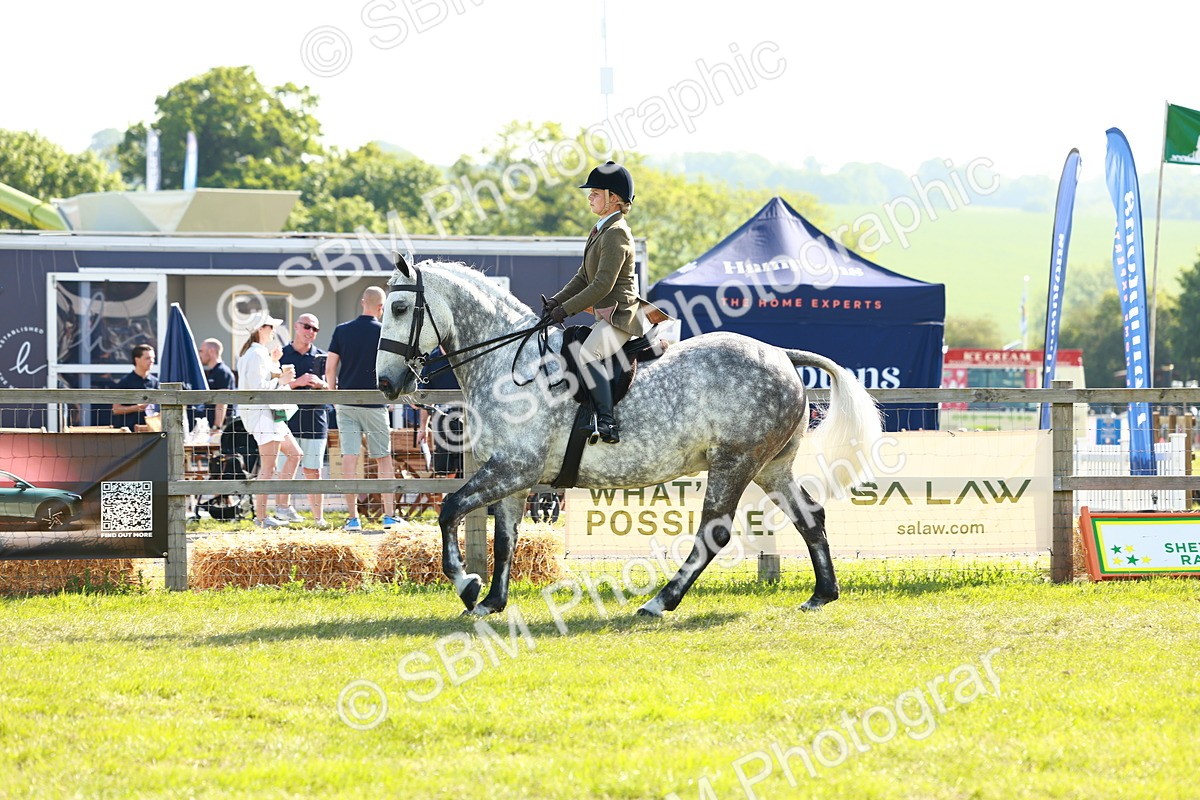 SBM_11777 - Class 66-69 - RIHS Ridden Hunters Inc Small Hunter