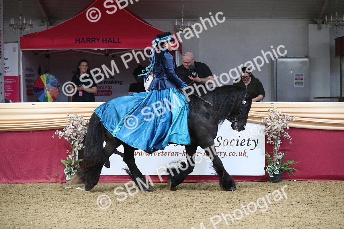 SBM_12228 - Class 107 Ridden Costume- Astride Adult (20+)