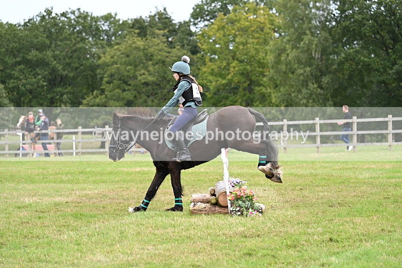 WJ7_7676 - 40cm Time 10:49 to 11:18