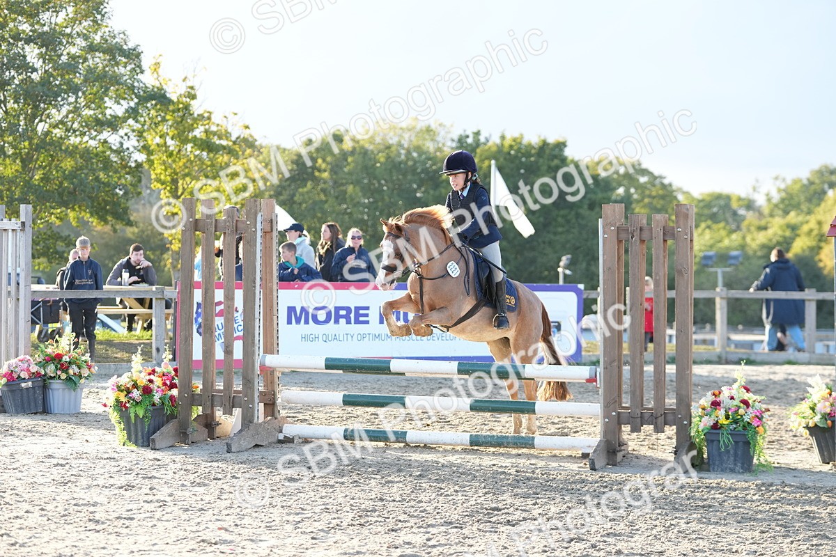 SBM_54087 - Supreme Championship 60cm 65cm