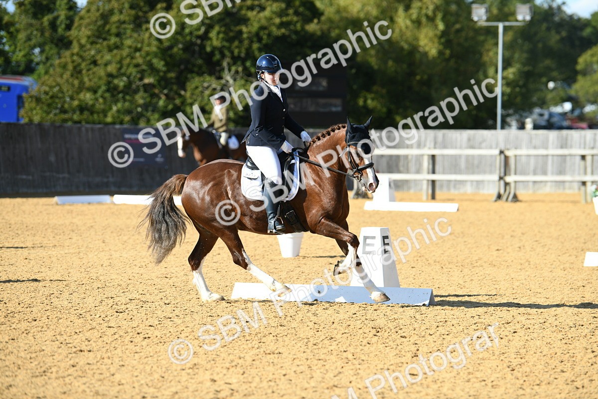 SBM_27227 - D16 - Small Tour Championship - Novice 28