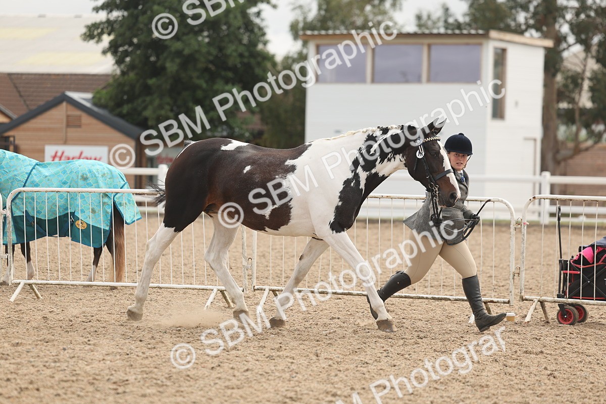 SBM_02057 - Class 15 - IH Coloured