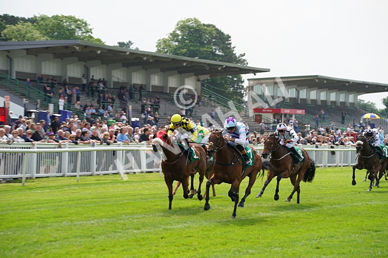 160626-Race 2-Dragon Spin-4 - Race 2 14.50pm PD Hook Gallop Handicap