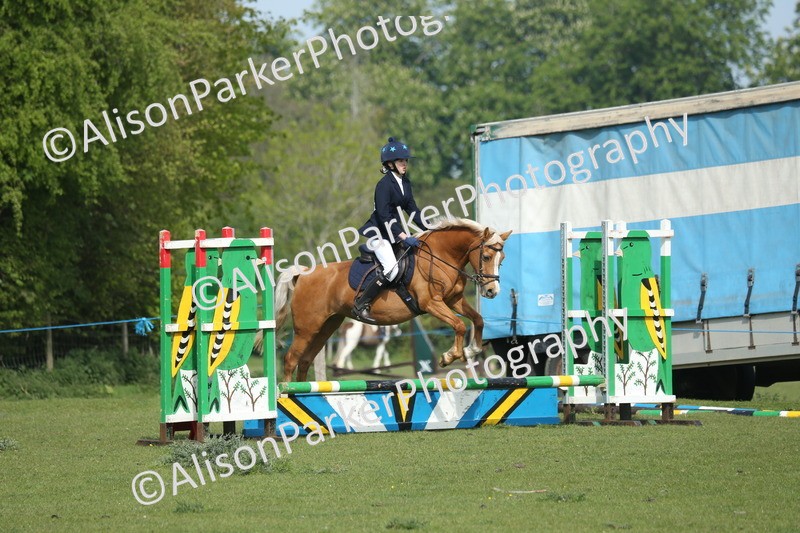 20260426-0244 - Class 13 - Rookie Jumping 50cm